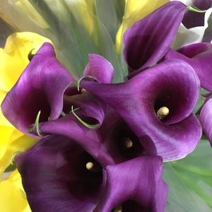 Meet your Posher, Angelika